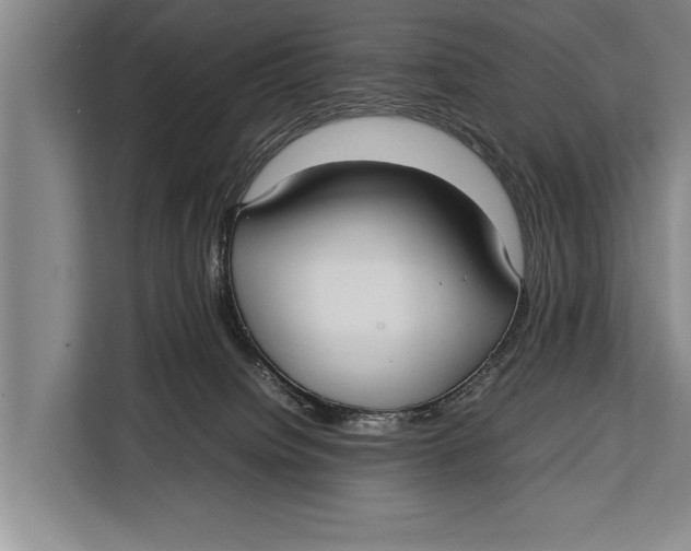 X0000113030084200909171509