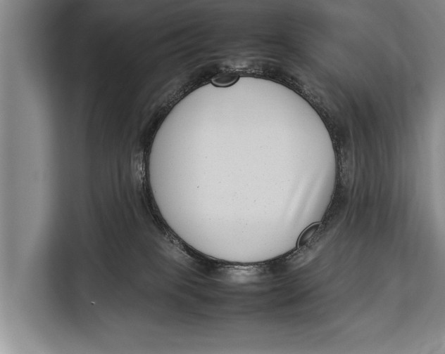 X0000113030085200909171509