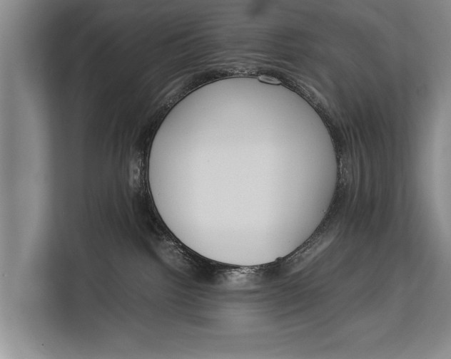 X0000113030092200909171509