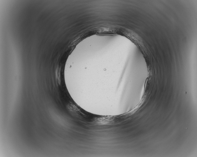 X0000113030094200909171509