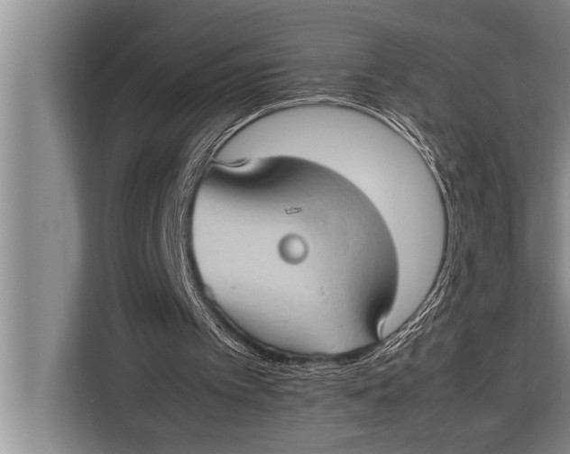 X0000113030097200909171509