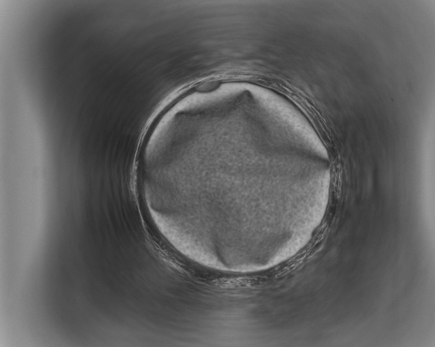 X0000113030100200909171509