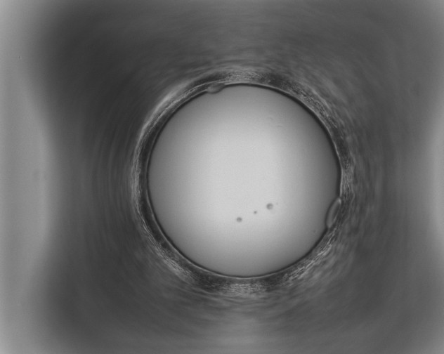 X0000113030101200909171509