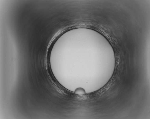 X0000113030102200909171509