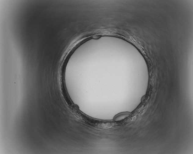 X0000113030103200909171509