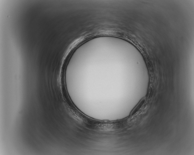 X0000113030104200909171509