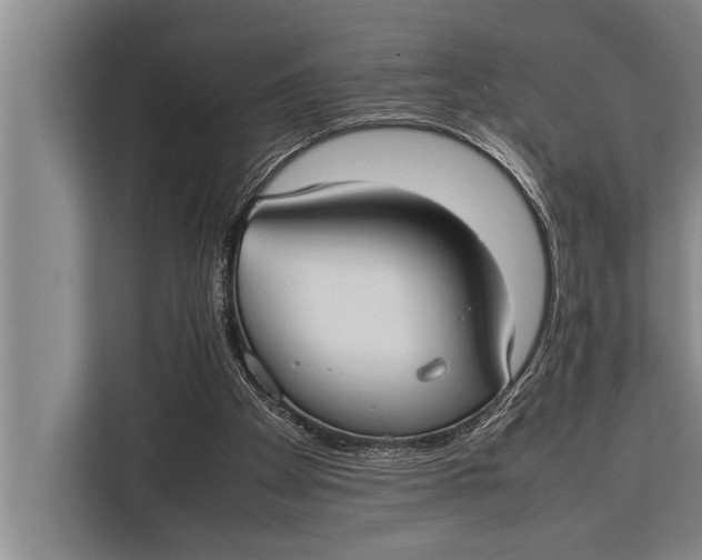 X0000113030105200909171509