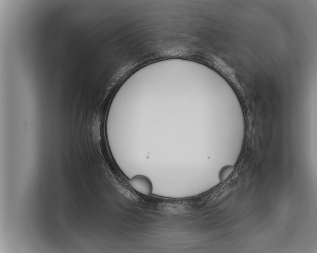 X0000113030106200909171509