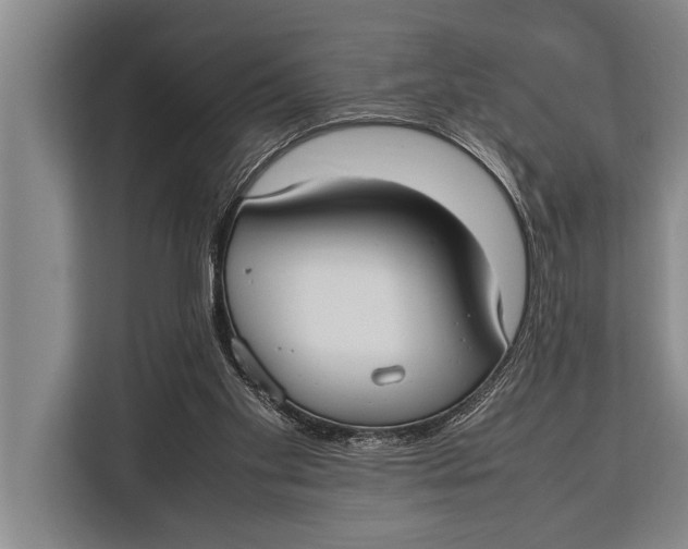 X0000113030109200909171509