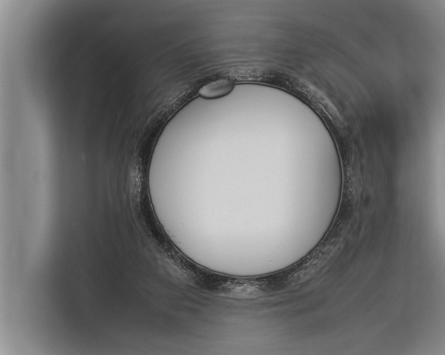 X0000113030113200909171509