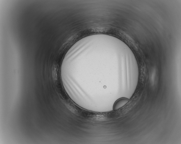 X0000113030114200909171509