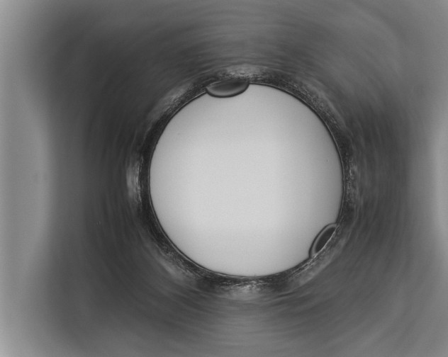 X0000113030116200909171509