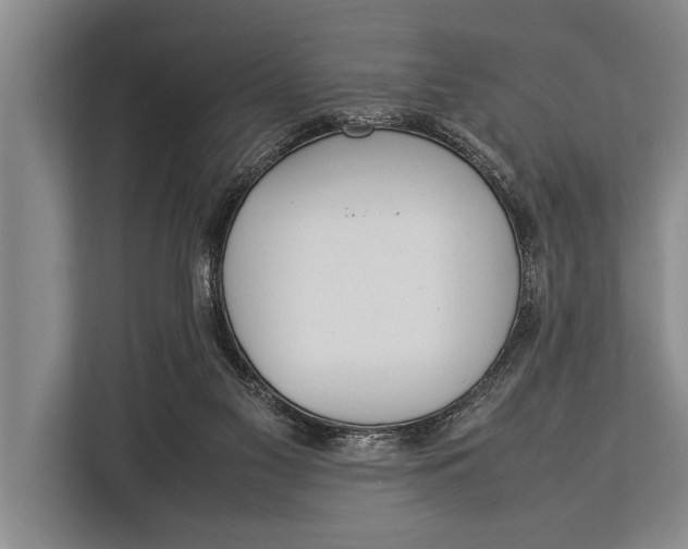 X0000113030117200909171509