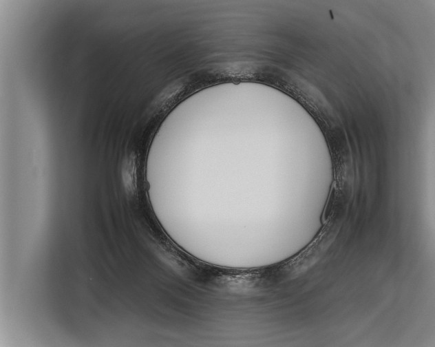 X0000113030120200909171509