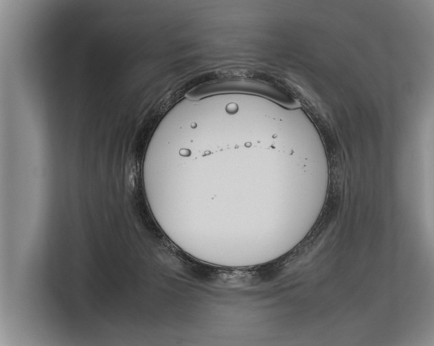 X0000113030125200909171508