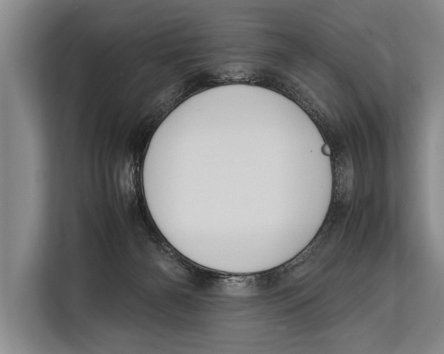 X0000113030126200909171508