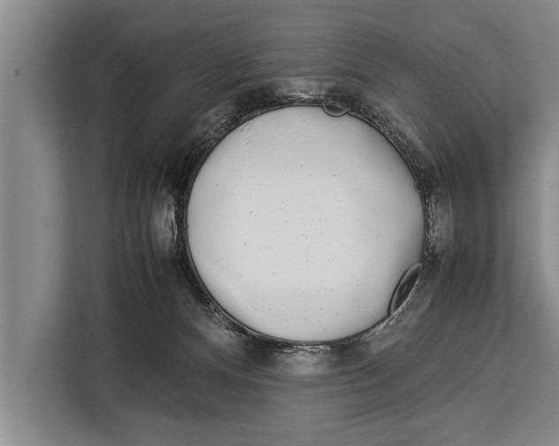 X0000113030128200909171508