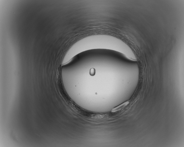 X0000113030129200909171508