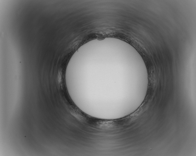 X0000113030132200909171508