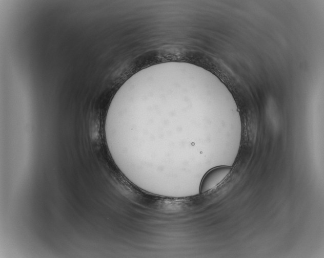 X0000113030134200909171508