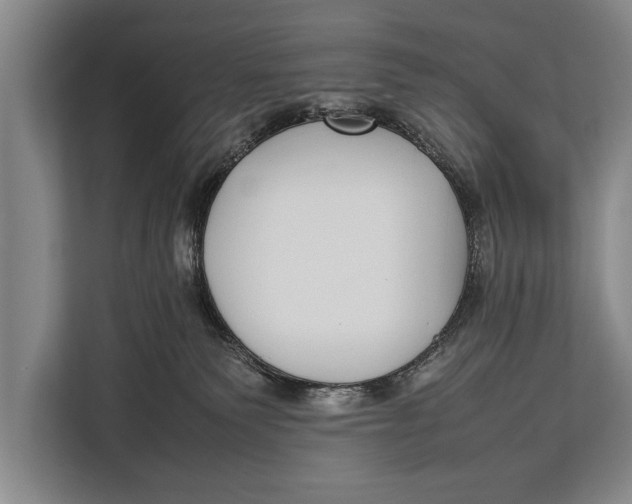 X0000113030135200909171508