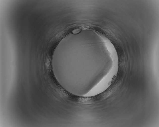 X0000113030139200909171508