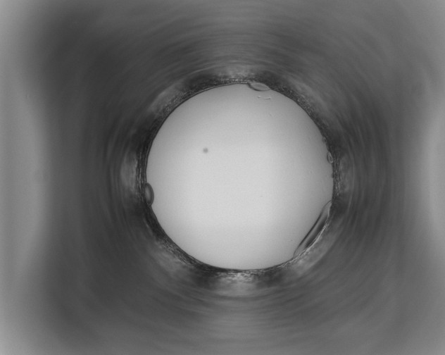 X0000113030140200909171508