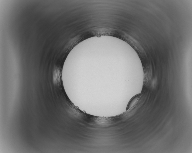 X0000113030142200909171508