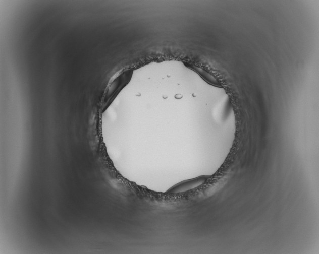 X0000113030144200909171508