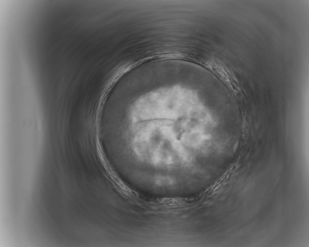 X0000113030145200909171508