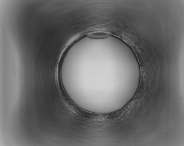 X0000113030148200909171508