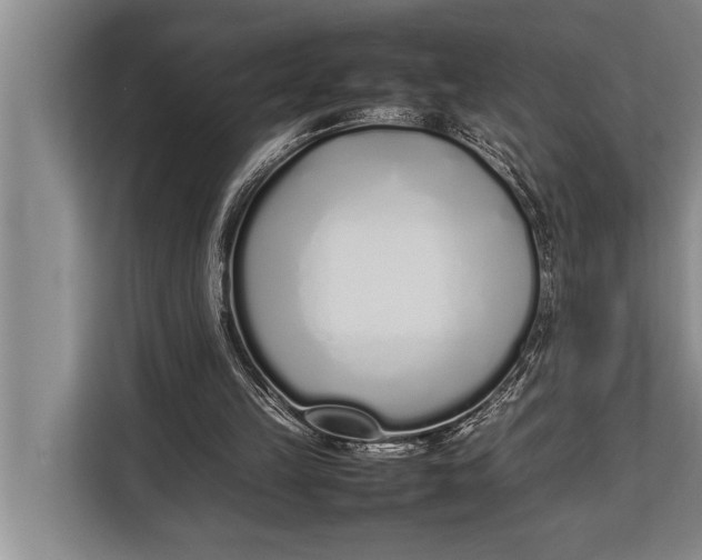 X0000113030149200909171508