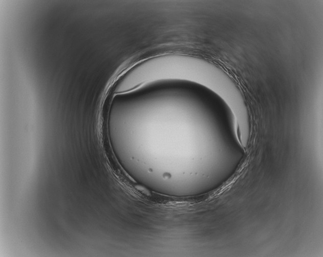 X0000113030150200909171508