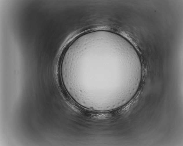 X0000113030151200909171508