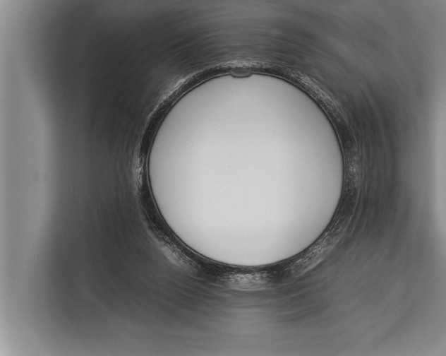 X0000113030160200909171508