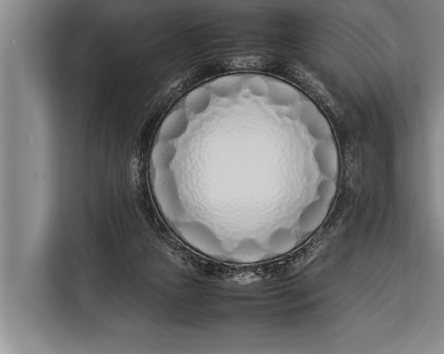 X0000113030161200909171508