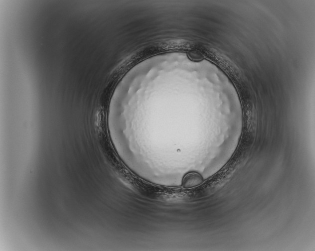 X0000113030165200909171508