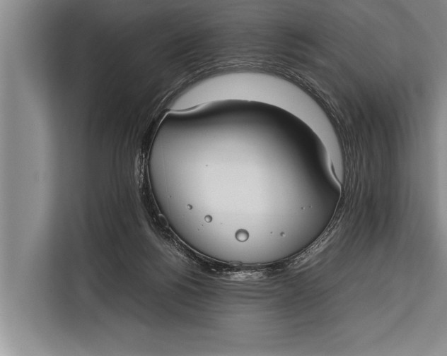 X0000113030168200909171508