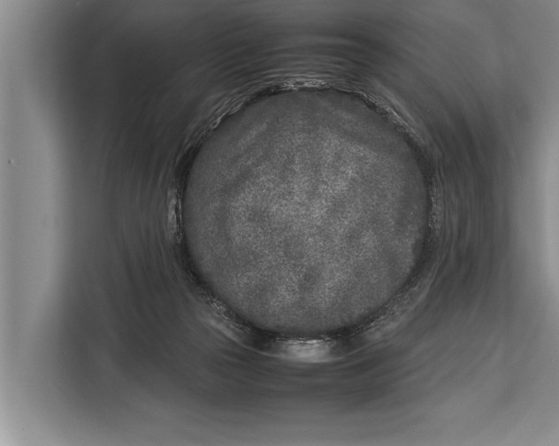 X0000113030169200909171508