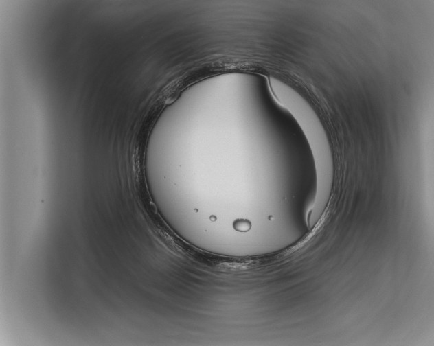 X0000113030170200909171508