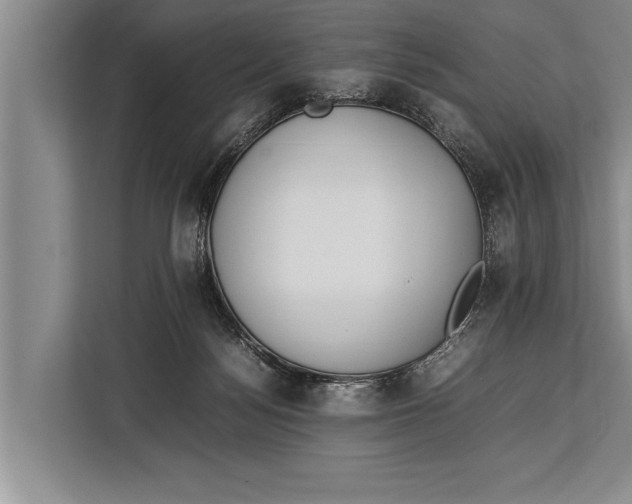 X0000113030172200909171508