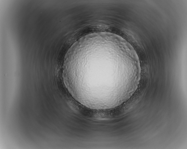 X0000113030177200909171508