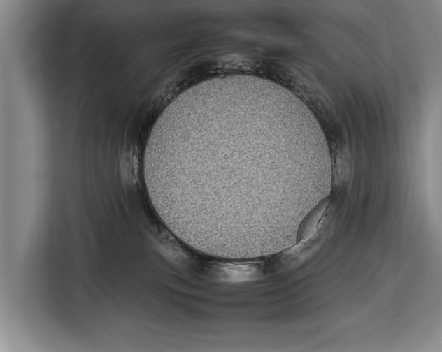 X0000113030183200909171508