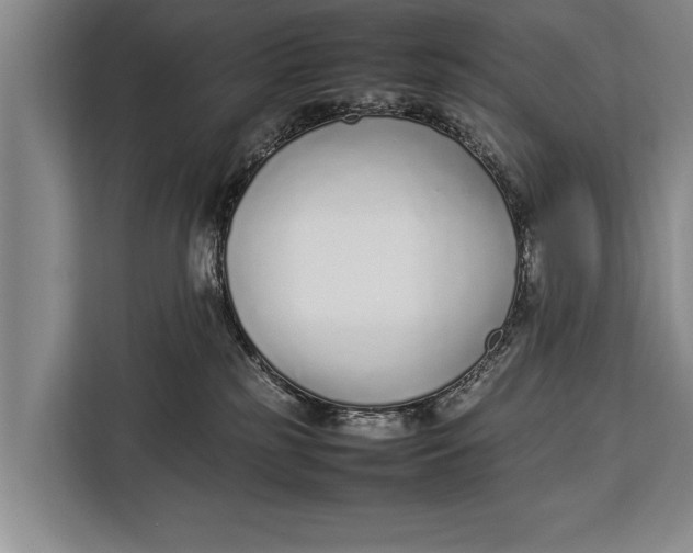 X0000113030185200909171508