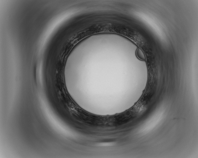 X0000113030189200909171508