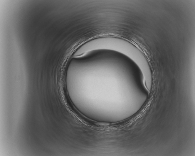 X0000113030193200909171508