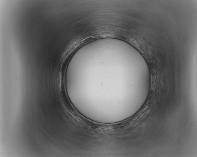 X0000113030194200909171508