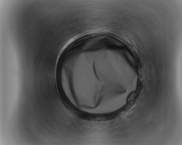 X0000113030196200909171508