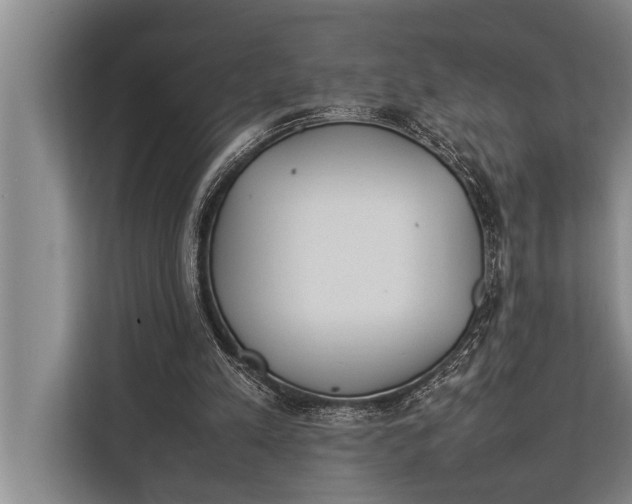 X0000113030197200909171508