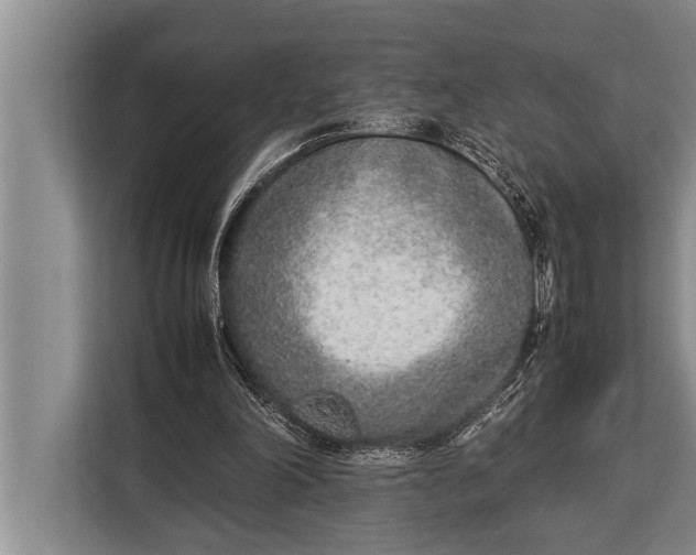 X0000113030198200909171508